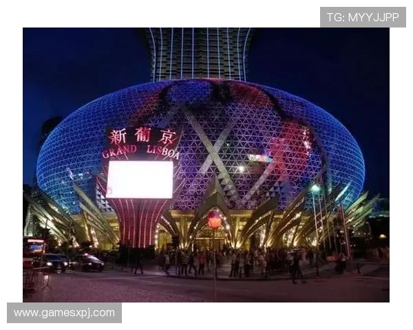 澳门新葡京：澳门新葡京的合作伙伴关系与联盟发展路径